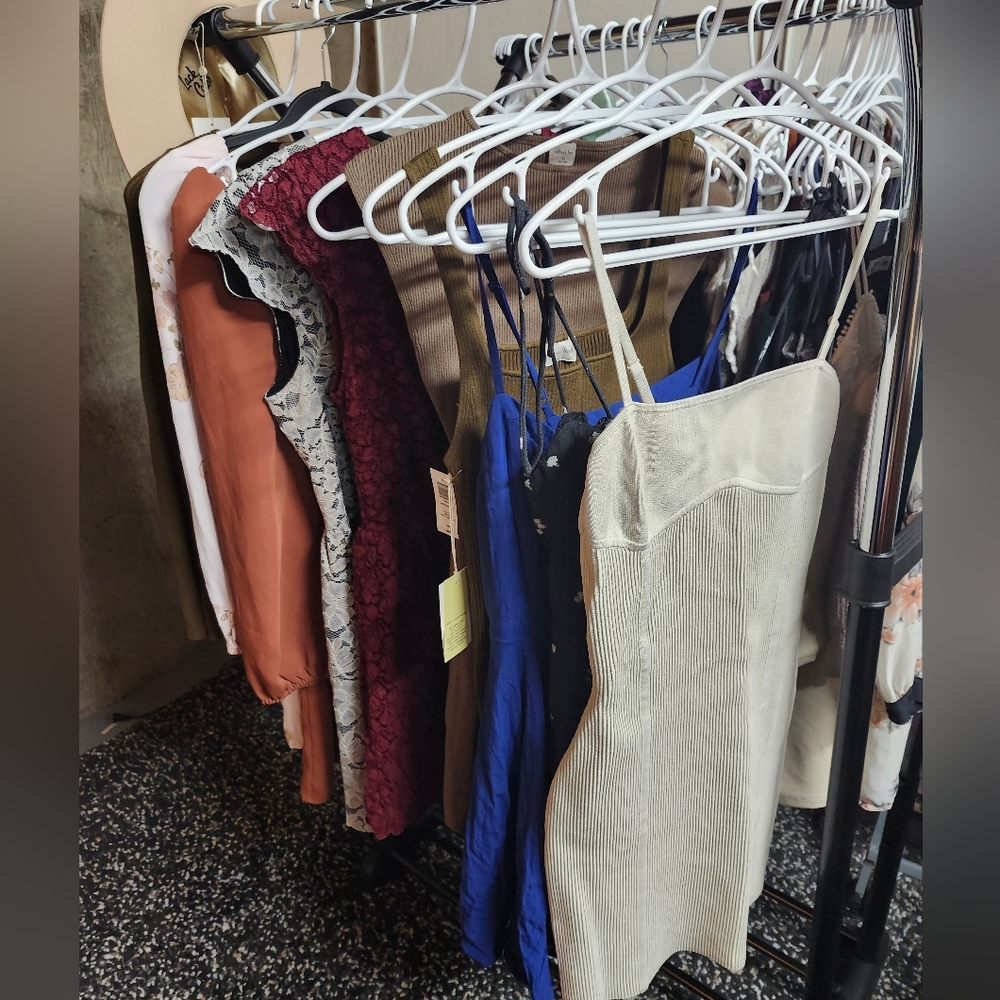 Aritzia Dress Collection